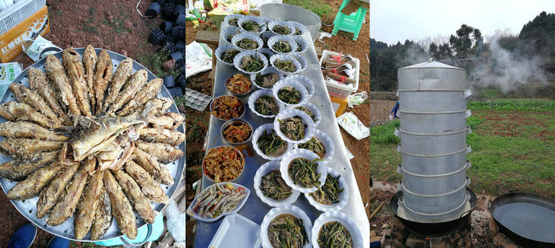 js1996(�й�)���޹�˾